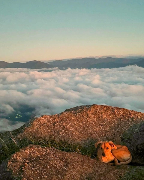 Amanhecer na Pedra Selada